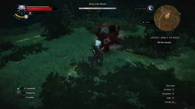 The Witcher III Killing Jenny o the Woods