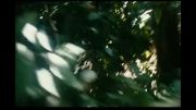 شکار گراز - ابتدای فیلم آخرالزمان