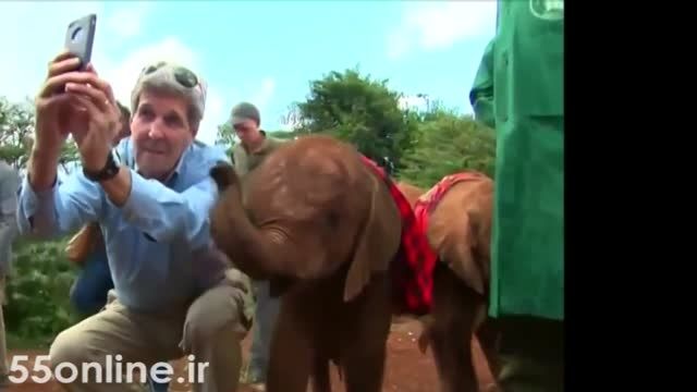 عكس سلفی جان كری با بچه فیل