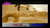 flyboys parkour