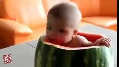 بچه رو گذاشتن تو هندوانه
