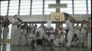 capoeira.mihanblog.com