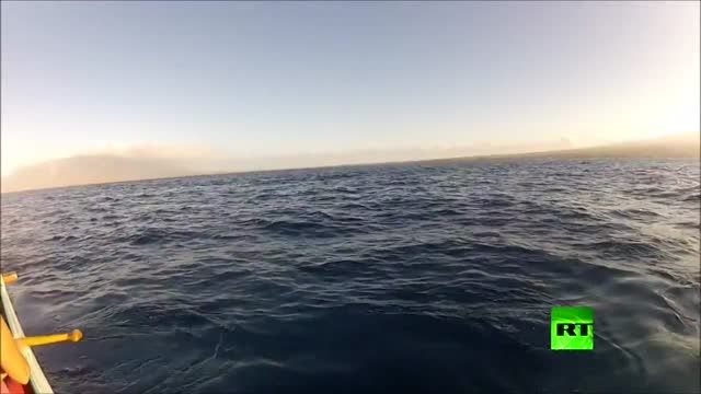 حمله ناگهانی نهنگ به قایق  !!!