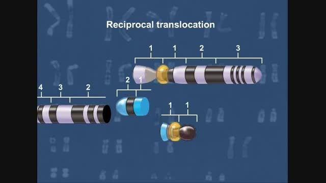 تغییرات در ساختار کروموزوم(HD)