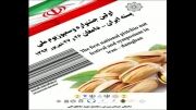 جشنواره ملی پسته ایران - دامغان