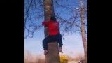 آموزش بالا رفتن از درخت