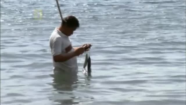 حمله به ماهیگیر