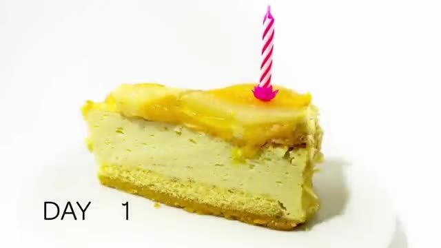 خراب شدن  یک کیک در 30 روز