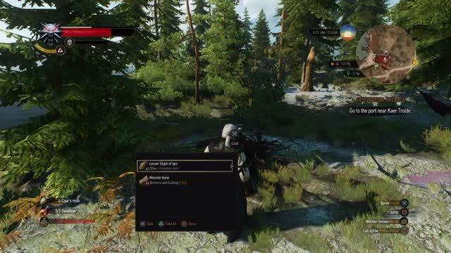 نحوه گرفتن آیتم بی نهایت در بازی The Witcher 3