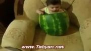 کودک و هندوانه