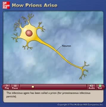 How Prions Arise
