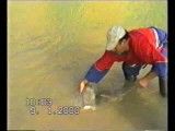 مستند صید ماهی سونگ 2