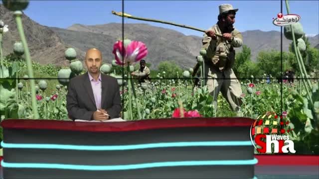 تلاش داعش برای دراختیار گرفتن بازارموادمخدردر افغانستان