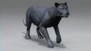 Reference برای متحرک سازی( Black Panther 3D)