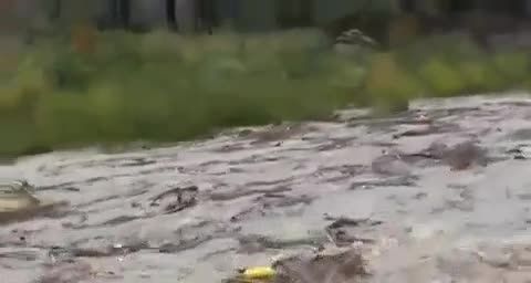 حادثه سیلاب رودخانه شهرستان رودان