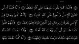 القرآن الکریم - 72 - سورة الجن - سعد الغامدی