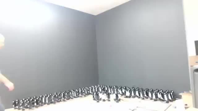آیینه تعاملی ساخته شده از 450 پنگوئن