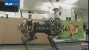 سریع ترین ربات جهان ساخته شد