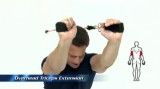 آموزش بدنسازی با کش - عضلات بازو