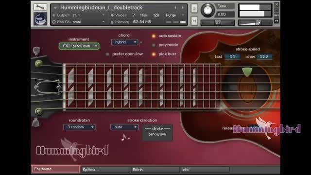 prominy hummingbird acoustic guitar3