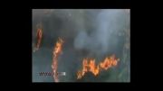 آتش سوزی در ناحیه ساحلی سیدنی استرالیا
