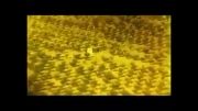 نخستین فیلم از عملیات حزب الله علیه  النصره  با پهپاد