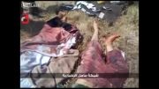 القصیر سوریه - تروریستهای کشته شده و اسیر