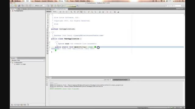 Command line arguments in Java NetBeans