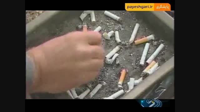 وقتی دود دخانیات به چشم ایرانی ها می رود