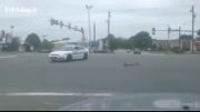 عبور اردک ها از وسط خیابان با کمک پلیس