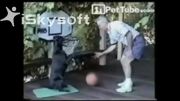 سگ بسکتبالیست