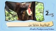 آموزش عربی با تصویر-40