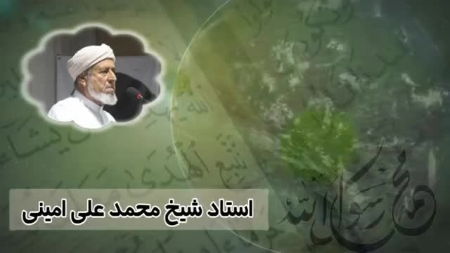 شیخ محمد علی امینی قرآن نور است