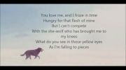 متن اهنگ David Guetta - She Wolf