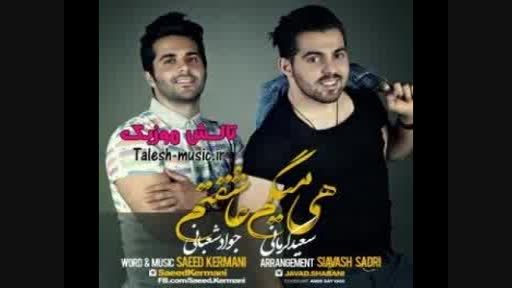 آهنگ جدید سعید کرمانی و جواد شعبانی بنام هی میگم عاشقت