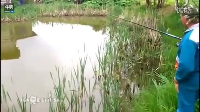 حمله گربه به ماهیگیر(ماهیگیری خنده دار)