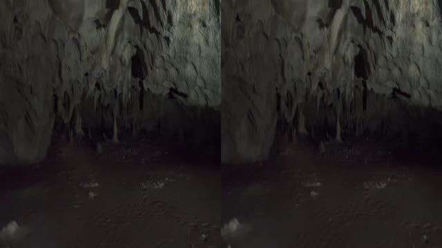 دانلود مستند سه بعدی Cave of Forgotten Dreams 3D 2010