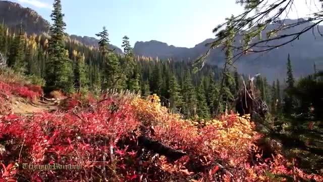 طبیعت زیبا همراه با موسیقی آرامش بخش 17 (HD)