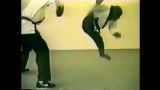 میمون کاراته کار