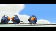 انیمیشن زیبا و جالب for the birdes