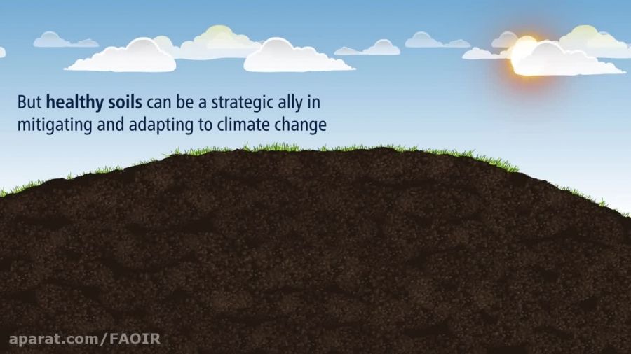 Soils- Our ally against climate change