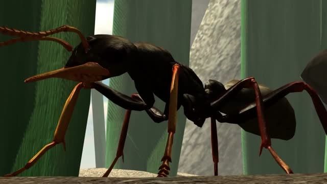 تریلر بازی Ant Simulator - زومجی