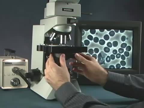 راهنمای تنظیم سیستم فازکنتراست میکروسکوپ