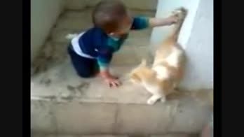 دعوای بچه با گربه  (بچه نترس )