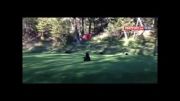 فیلم/ بازی بچه خرس در زمین گلف