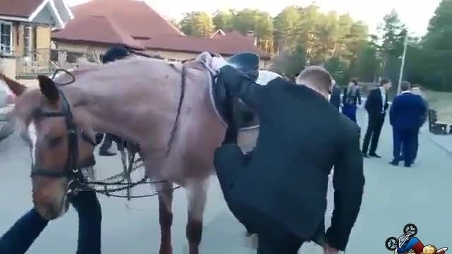 چگونه باید روی اسب سوار شد