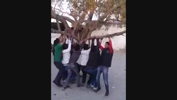 درخت بازی به جای تاپ