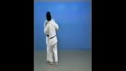 Kosoto Gake - 65 Throws of Kodokan Judo
