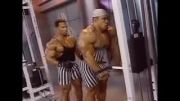 Shawn Ray and Kevin Levrone training triceps