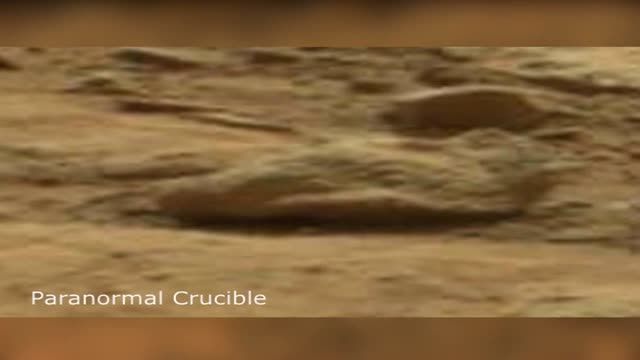 مشاهده موجودی عجیب و غولپیکر در سطح مریخ